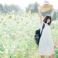 ひまわり畑で麦わら帽をかぶり伸びをする女性の写真
