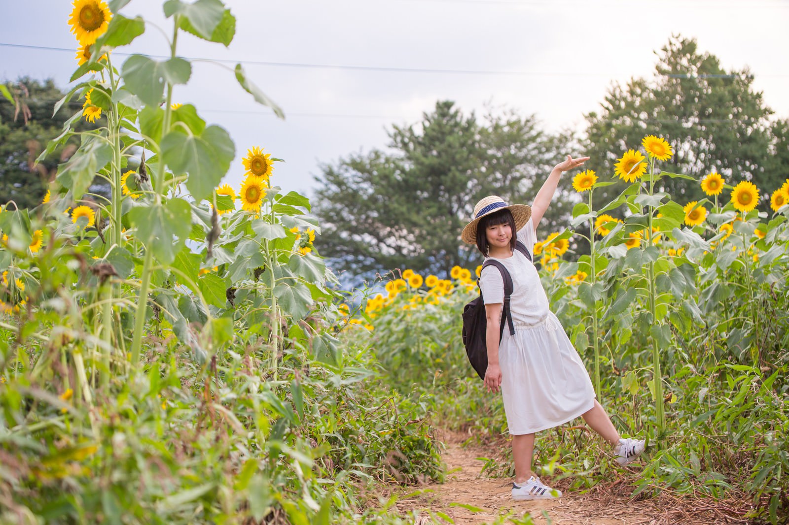 ひまわり畑で向日葵に手を添える麦わら帽の女性［モデル：にゃるる］