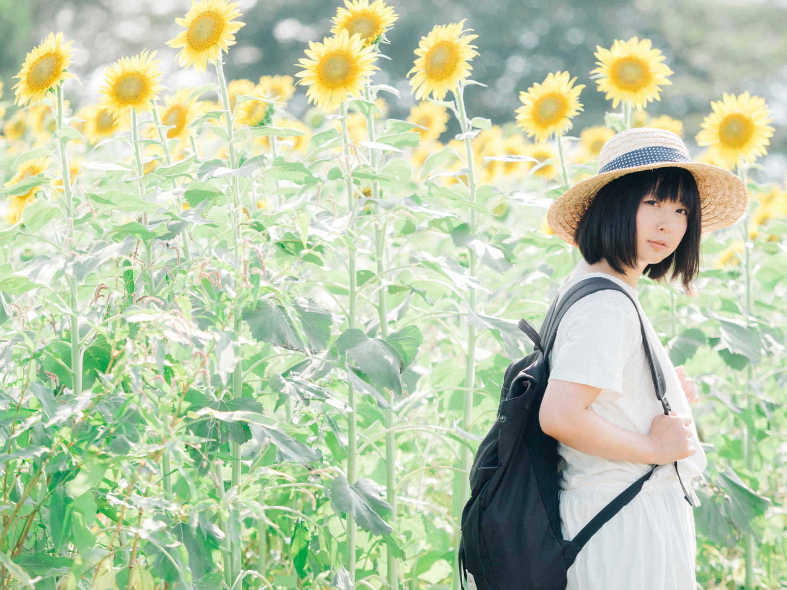 ひまわり畑で振り返る麦わら帽の女性［モデル：にゃるる］