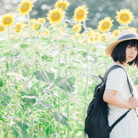 404サマーバージョン ひまわり畑で麦わら帽をかぶる女性の写真