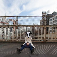 明日、なに食べて生きていこう〜歩道橋で座り込む牛かぶりの女性の写真