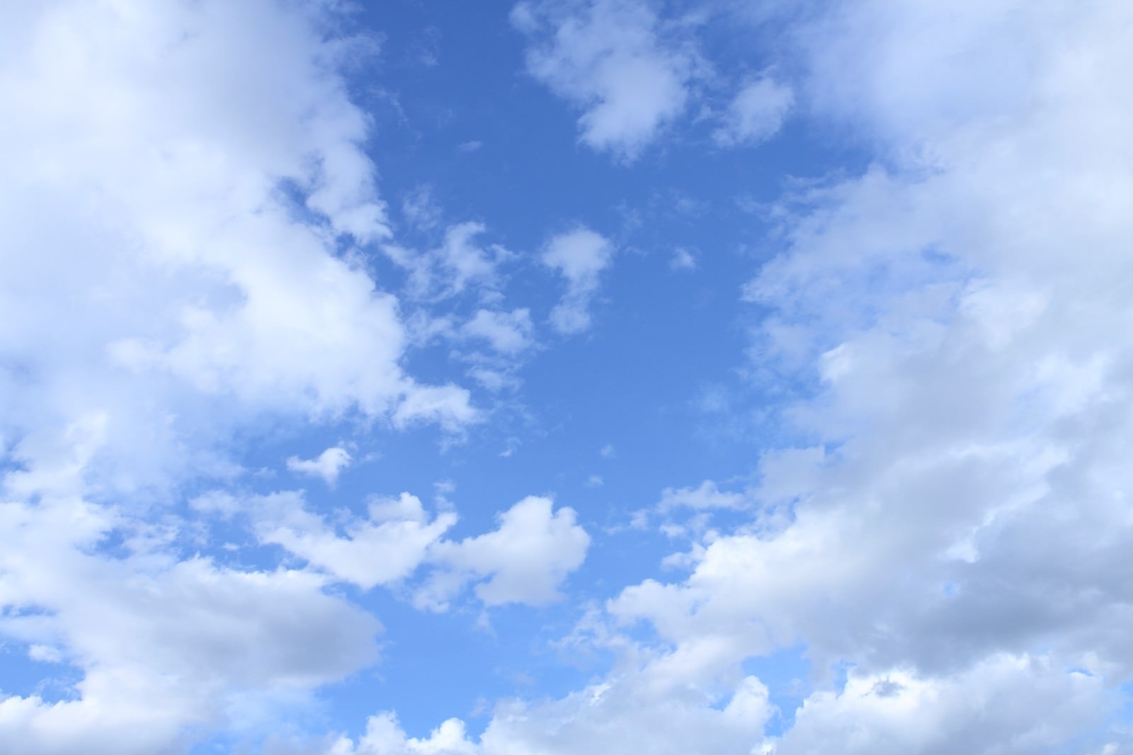晴れた空に白い積雲が浮かぶ青空