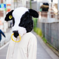 出荷された兄を知りませんか？の写真