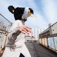 屋上で牛の被り物をした挙動不審な女性のコスプレの写真