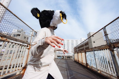 屋上で牛の被り物をした挙動不審な女性のコスプレ