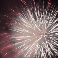 夏の風物詩といえば花火、ピンクと白の打ち上げ花火の写真