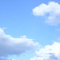 快晴の青空に浮かぶ白い雲の写真