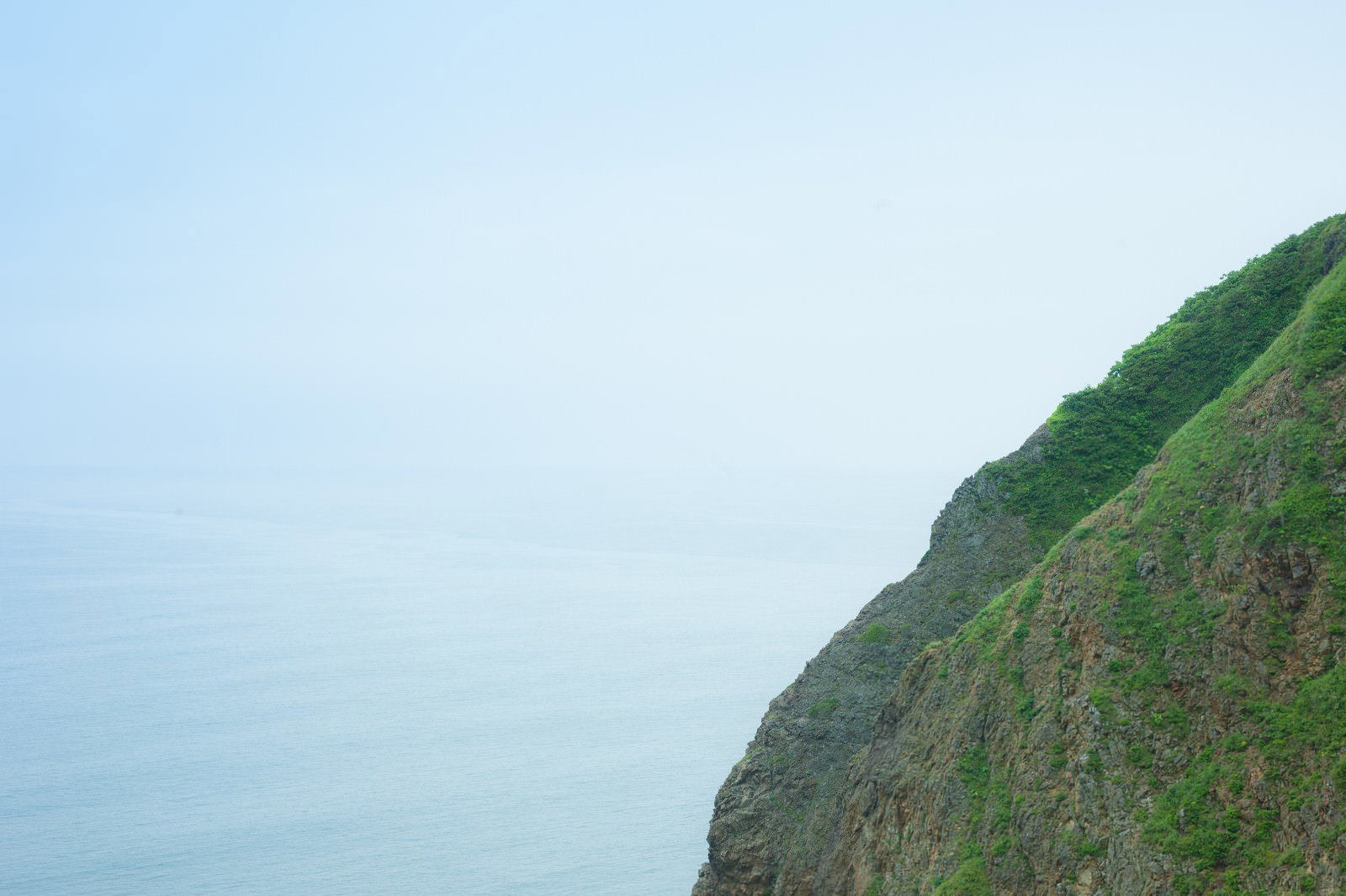緑で覆われた絶壁と静かな海を写した自然風景