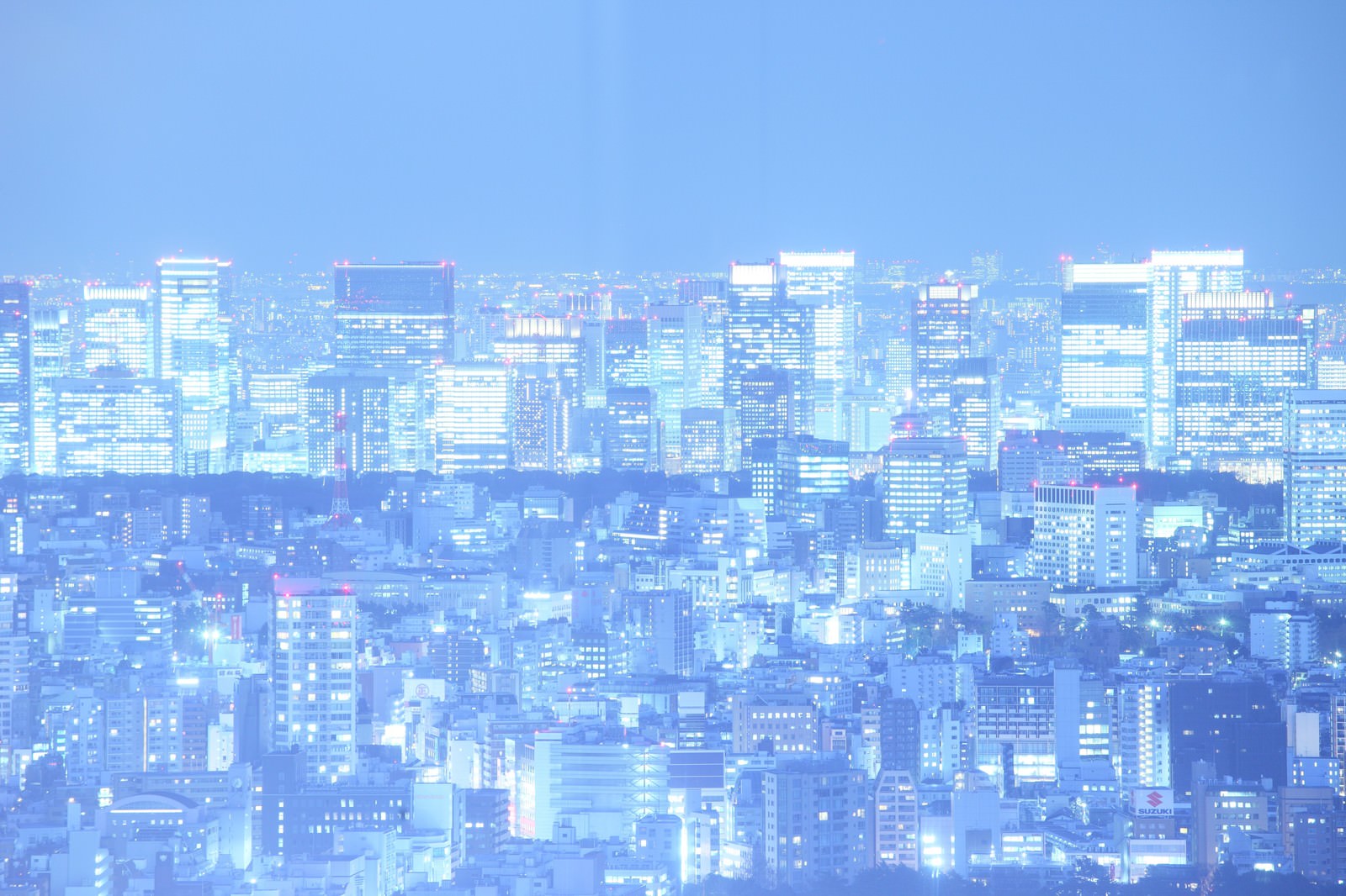 建物の窓から光が灯る多数のビルが密集した大都市の夜景