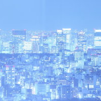 建物の窓から光が灯る多数のビルが密集した大都市の夜景の写真