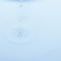 雫・吸収されまいと最後の悪あがきの写真