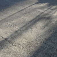 昼間の広場に伸びる木の影と石畳の写真