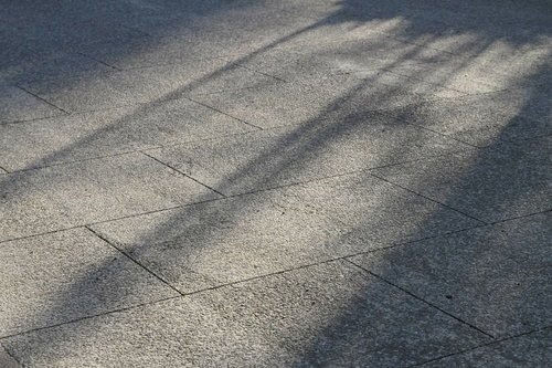 昼間の広場に伸びる木の影と石畳