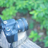 一眼レフカメラで自然の中で撮影する講習会の風景の写真