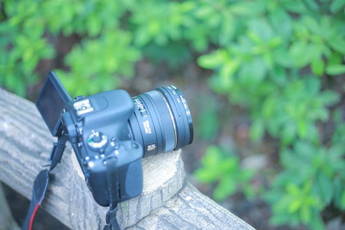 一眼レフカメラで自然の中で撮影する講習会の風景