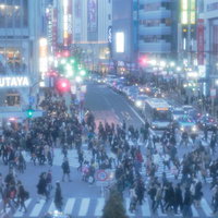 東京渋谷スクランブル交差点の夜間の人混みの写真
