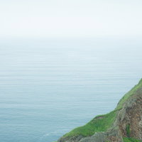 静かな海岸の岩場に生い茂る緑苔と穏やかな水平線の写真