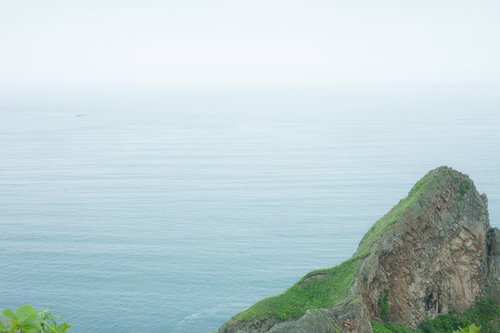 静かな海岸の岩場に生い茂る緑苔と穏やかな水平線