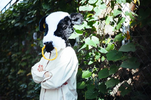 困ったらいつでも牧場においで、牛の被り物で優しくアドバイス