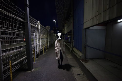 悪魔合体したら弱そうなのが出てきた