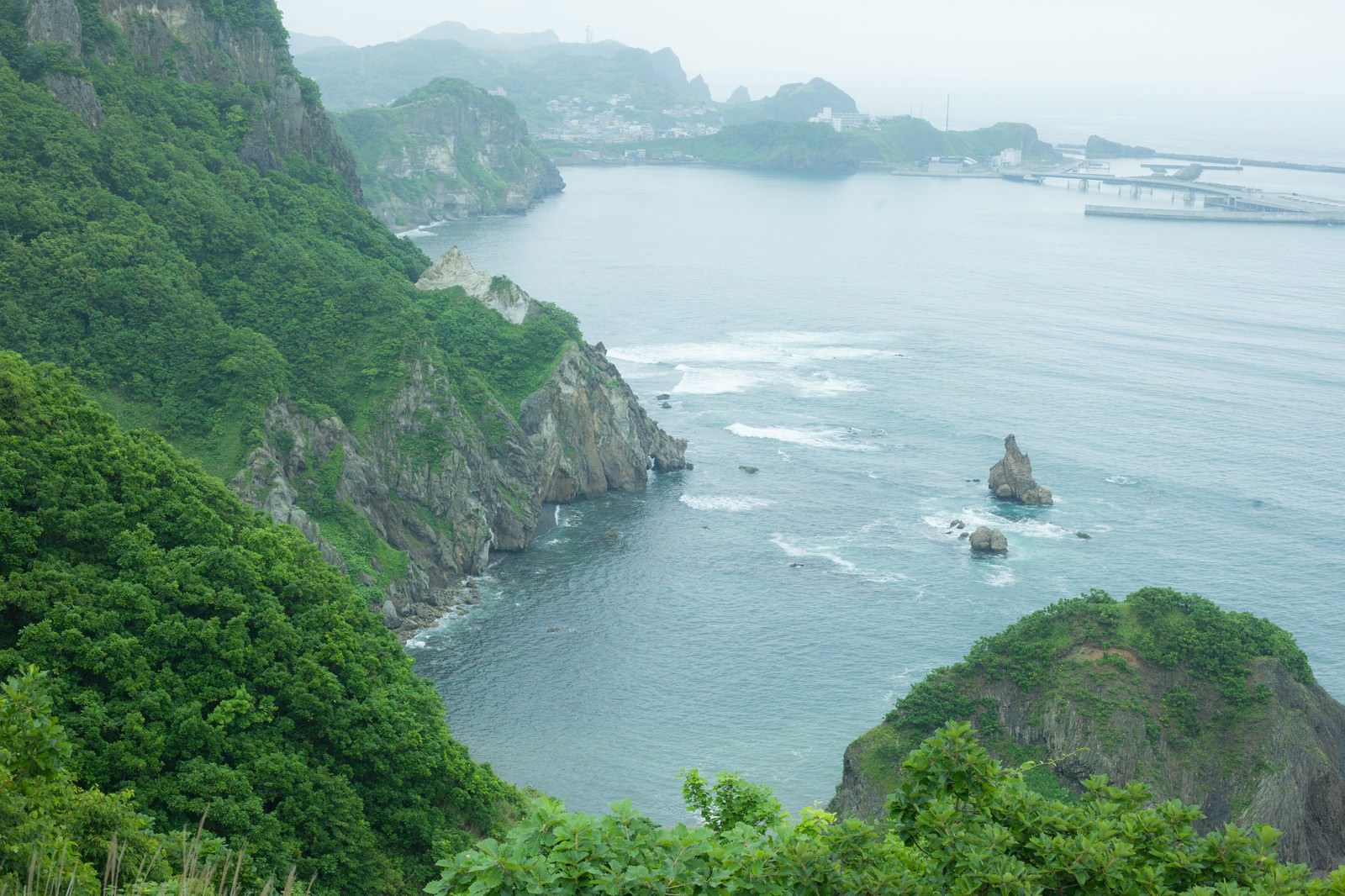 緑の樹林に覆われた断崖と入り江の島の海岸風景