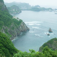 緑の森に囲まれた島と断崖の海岸、白波の波立つ景観の写真