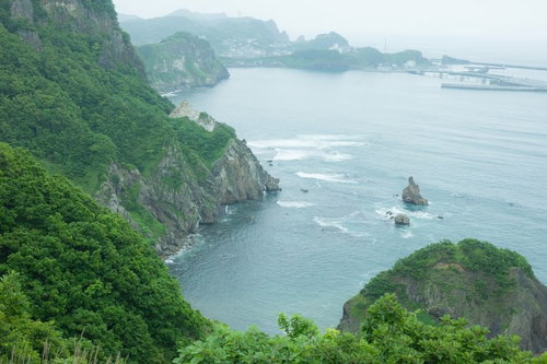 緑の森に囲まれた島と断崖の海岸、白波の波立つ景観
