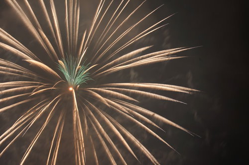 花火・いまがチャンス！