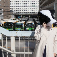 道に迷ってしまった牛ガール～都市の歩道橋で困惑する姿の写真