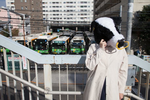 道に迷ってしまった牛ガール～都市の歩道橋で困惑する姿
