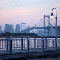 夕暮れの港湾エリアに柵越しに見えるレインボーブリッジと高層ビルの写真