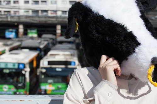 バスでドナドナ、スマホを持つエト牛のかぶりもの姿