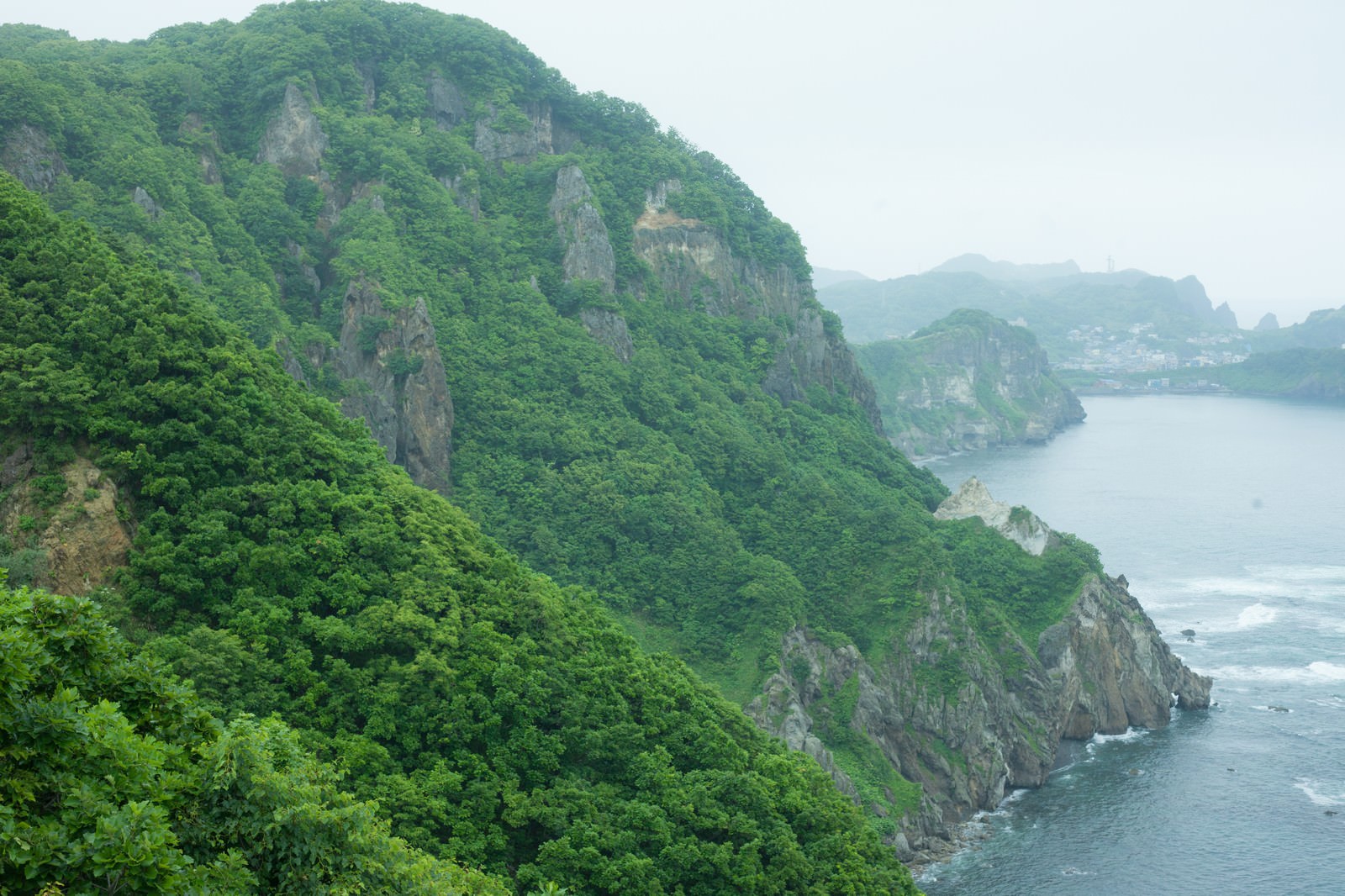 高台から見た島の山肌と海岸線