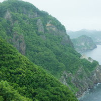 自然豊かな山肌と島の海岸線の写真