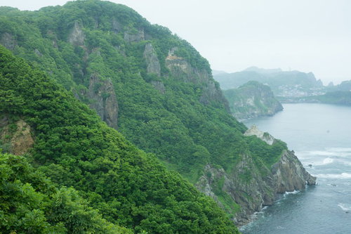 自然豊かな山肌と島の海岸線