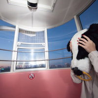 高層ビルの展望室で頭を抱える牛のかぶりものをした女性の写真