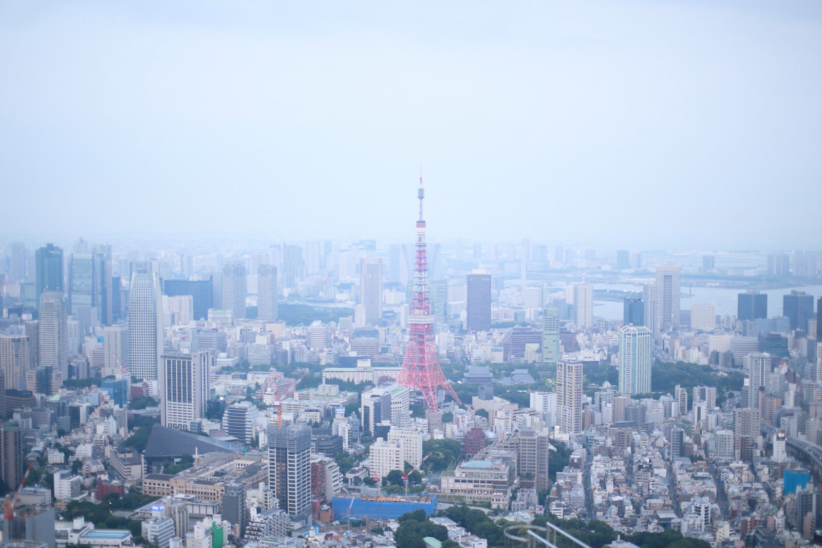霞がかった空の下に東京タワーとビル群が広がる都市景観