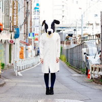 はじめましてエト牛です横断歩道の写真