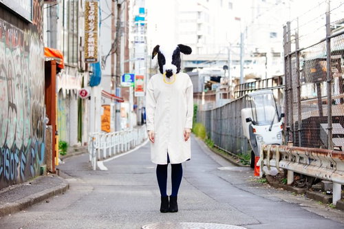はじめましてエト牛です横断歩道
