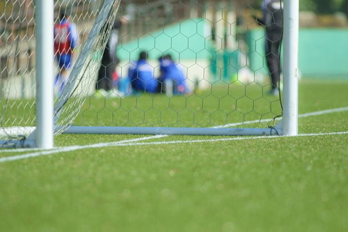 サッカーゴールの網越しに見える芝生のフィールドと青い服の選手たち