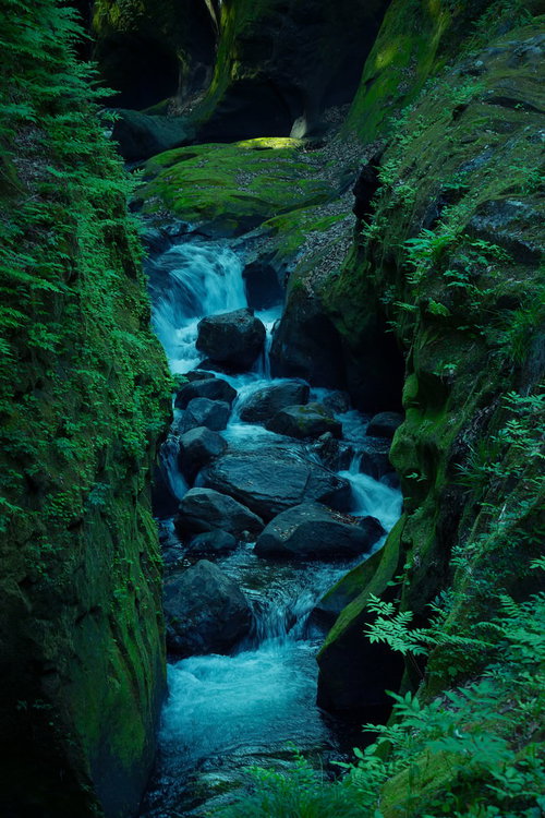 木々に囲まれた緑の中を水が流れる沢の自然風景