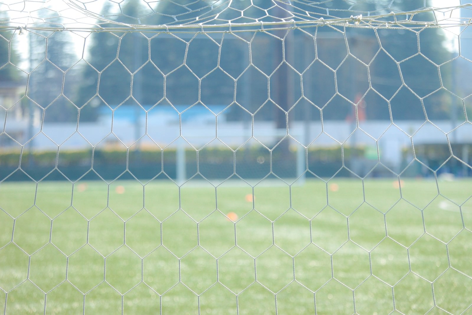 六角形の網目が並ぶサッカーゴールの白い網とぼけた芝生グラウンド