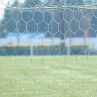 六角形の網目が並ぶサッカーゴールの白い網とぼけた芝生グラウンドの写真