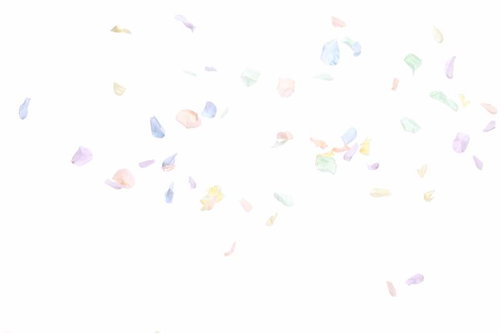 パステルカラーの花びらが空中に舞うフラワーシャワー