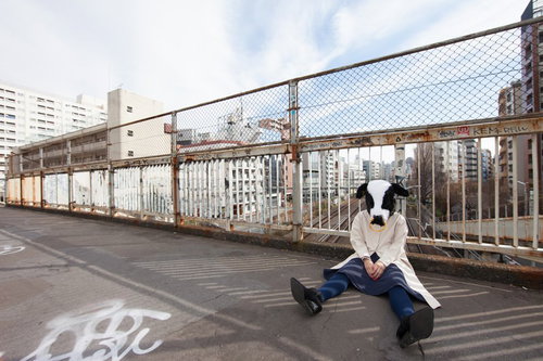 路頭に迷う牛さん、渋谷の歩道橋で座り込む