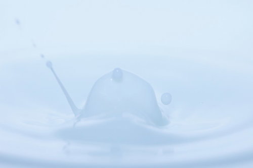 薄い青色の水面に浮かぶ白い野球帽のような帽子