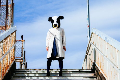 牛おんな、今日も元気です！