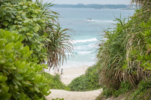 宮古島の砂山ビーチへと続く緑の坂道を登った先の絶景