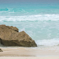 緑の木々に囲まれた砂の小道の写真