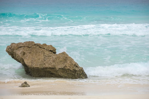 緑の木々に囲まれた砂の小道